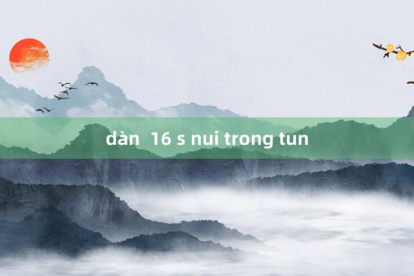 dàn  16 s nui trong tun