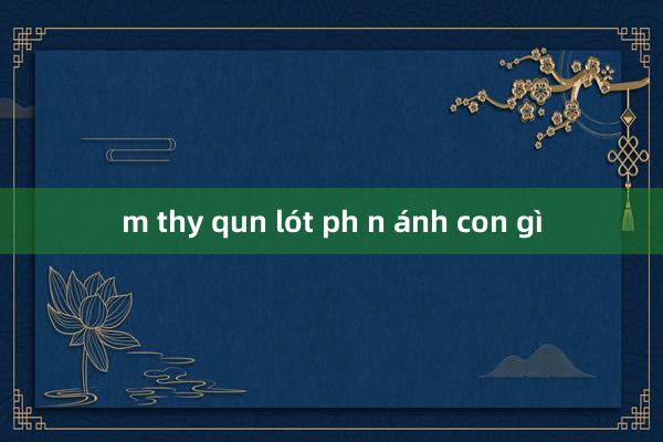 m thy qun lót ph n ánh con gì