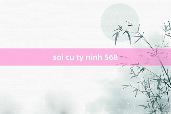 soi cu ty ninh 568