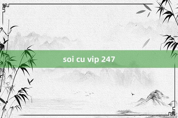 soi cu vip 247