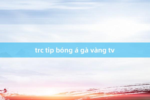 trc tip bóng á gà vàng tv