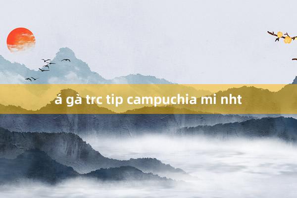 á gà trc tip campuchia mi nht