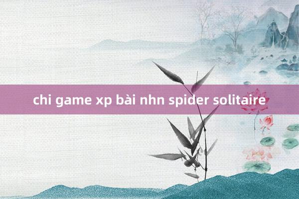 chi game xp bài nhn spider solitaire