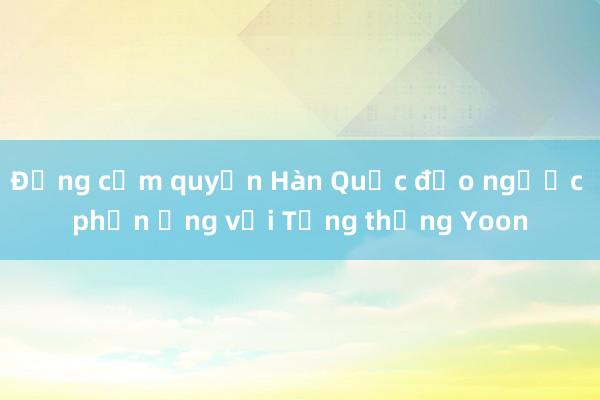 Đảng cầm quyền Hàn Quốc đảo ngược phản ứng với Tổng thống Yoon