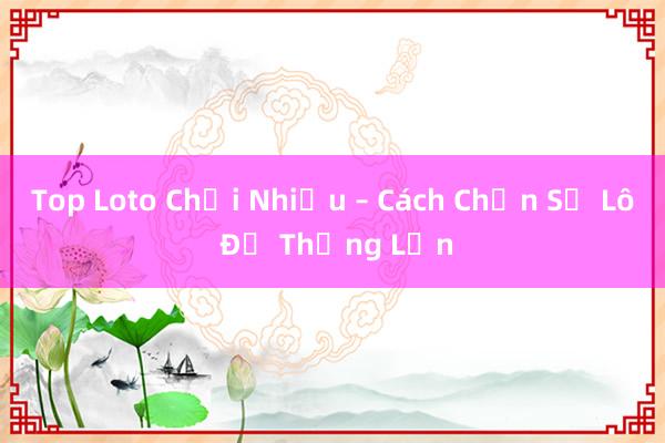 Top Loto Chơi Nhiều – Cách Chọn Số Lô Để Thắng Lớn