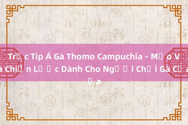 Trắc Tip Á Gà Thomo Campuchia - Mẹo Và Chiến Lược Dành Cho Người Chơi Gà Cựa