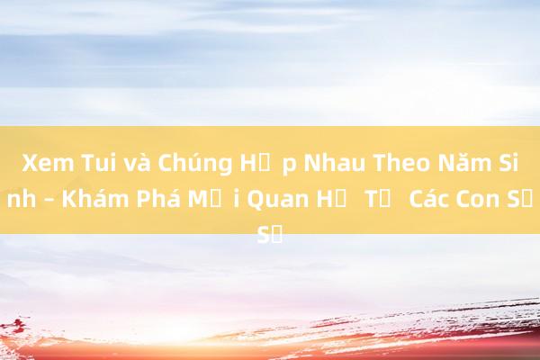 Xem Tui và Chúng Hợp Nhau Theo Năm Sinh – Khám Phá Mối Quan Hệ Từ Các Con Số