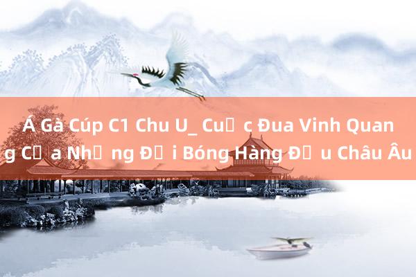 Á Gà Cúp C1 Chu U_ Cuộc Đua Vinh Quang Của Những Đội Bóng Hàng Đầu Châu Âu