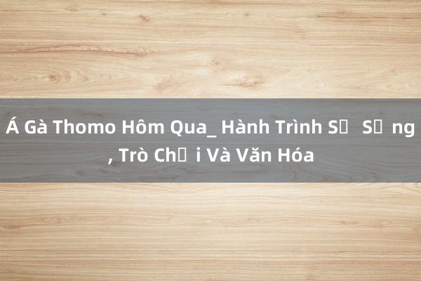 Á Gà Thomo Hôm Qua_ Hành Trình Sự Sống， Trò Chơi Và Văn Hóa