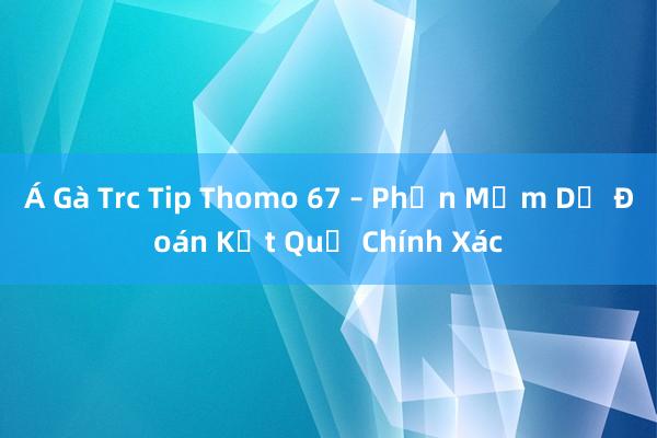 Á Gà Trc Tip Thomo 67 – Phần Mềm Dự Đoán Kết Quả Chính Xác