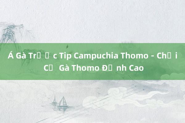 Á Gà Trước Tip Campuchia Thomo - Chơi Cờ Gà Thomo Đỉnh Cao