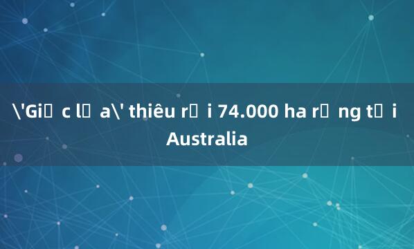 'Giặc lửa' thiêu rụi 74.000 ha rừng tại Australia