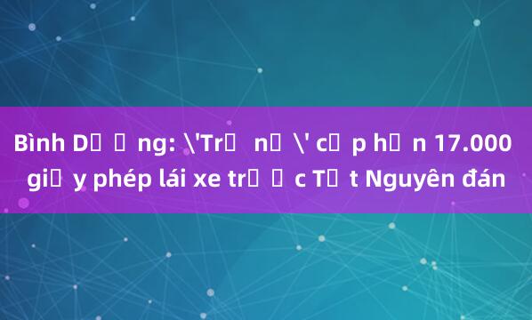 Bình Dương: 'Trả nợ' cấp hơn 17.000 giấy phép lái xe trước Tết Nguyên đán