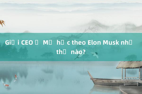 Giới CEO ở Mỹ học theo Elon Musk như thế nào?